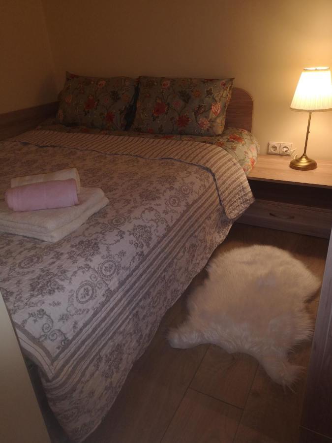 Kristinos Apartment Druskininkai Eksteriør bilde